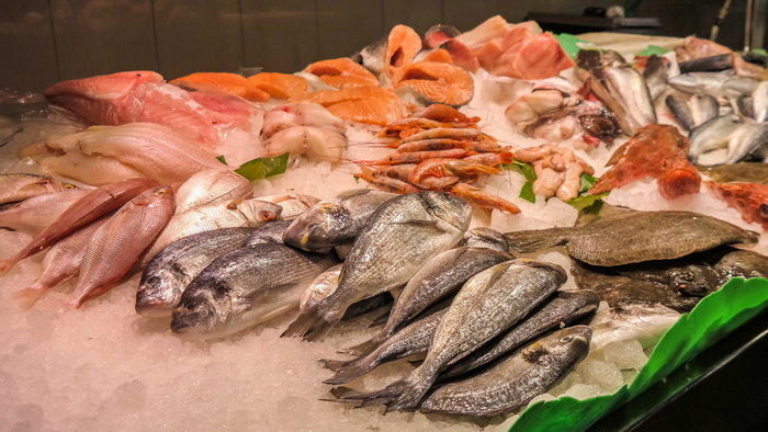 Fish laying on ice on a fish mongers stand