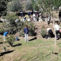 Malaga Viva's community project.