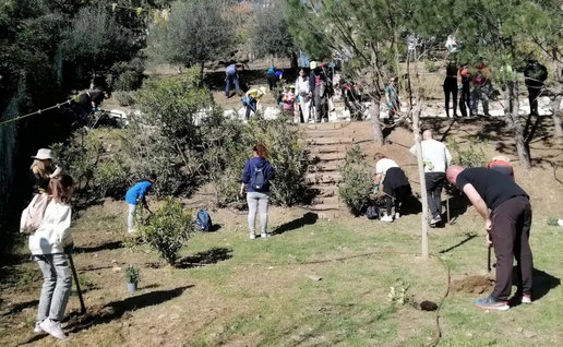 Malaga Viva's community project.
