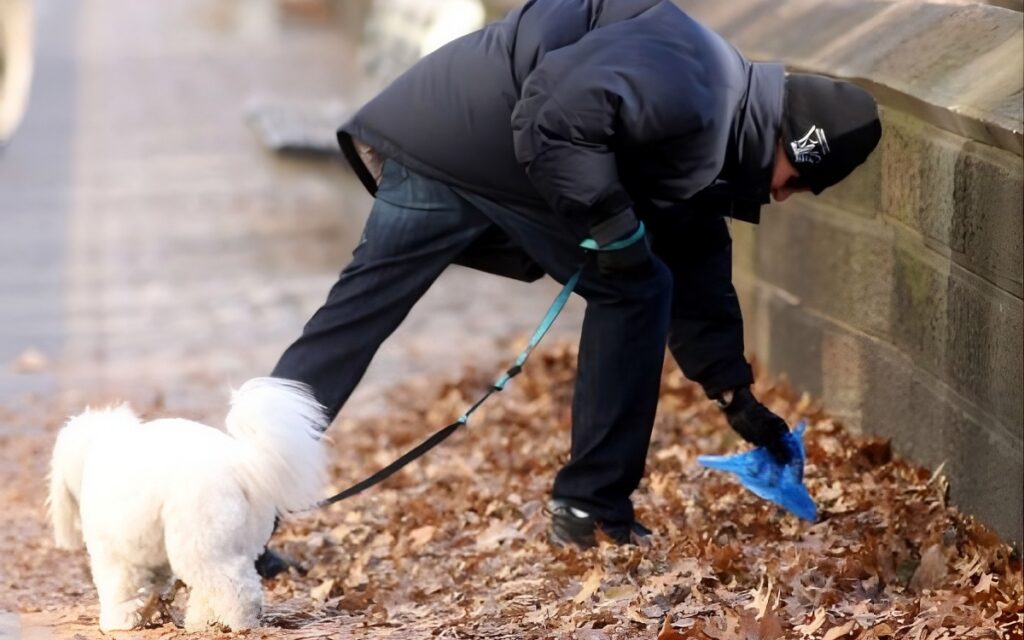 Is your town one of Spain’s worst for dog poo? What’s being done.