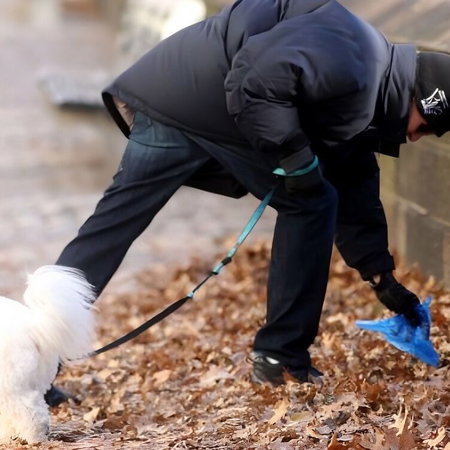 picking up dog faeces with a plastic bag