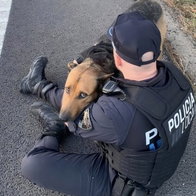 Cop tries to ease fears of dog on motorway.