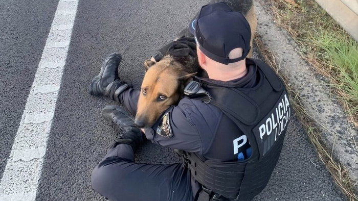 Cop tries to ease fears of dog on motorway.