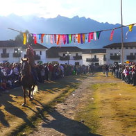 Horse & ribbon racing.